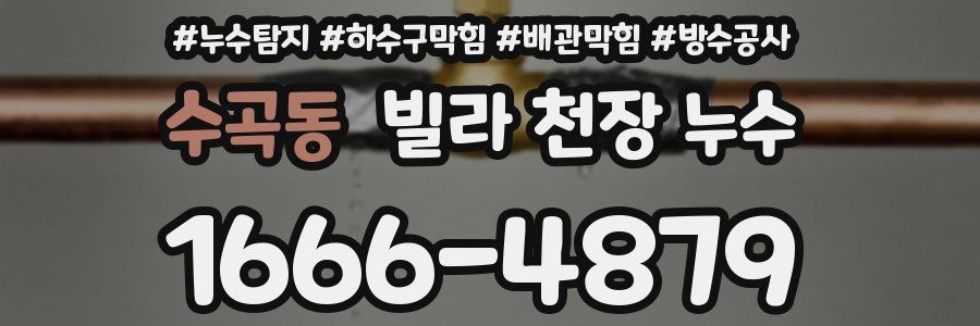 수곡동 빌라 천장 누수