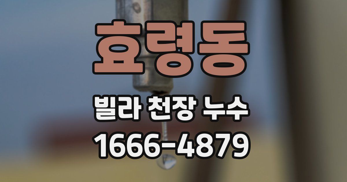 효령동 빌라 천장 누수