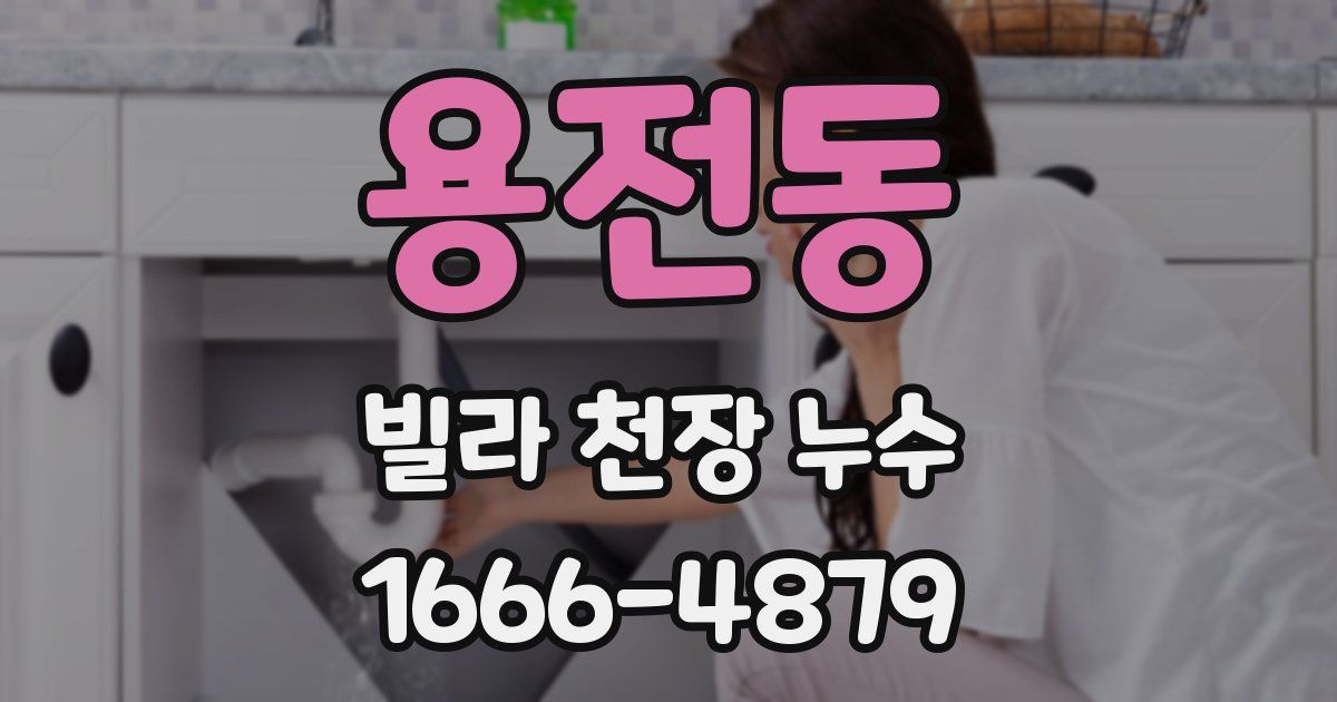 용전동 빌라 천장 누수