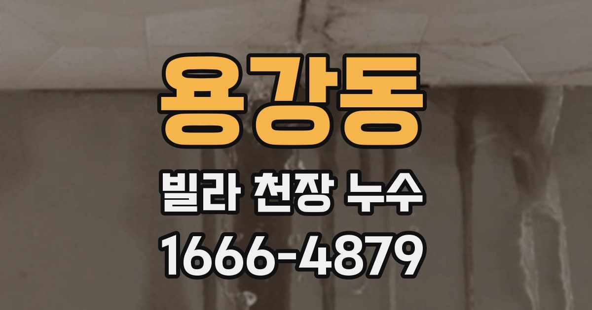 용강동 빌라 천장 누수