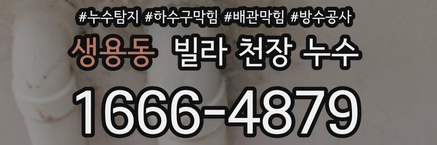 생용동 빌라 천장 누수