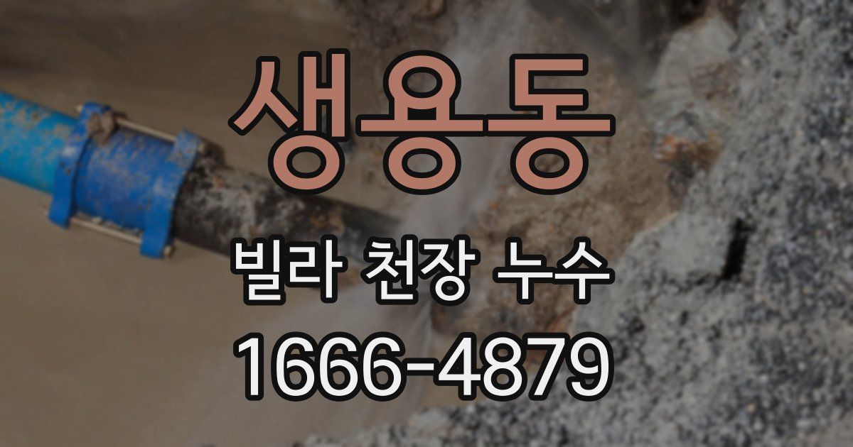 생용동 빌라 천장 누수