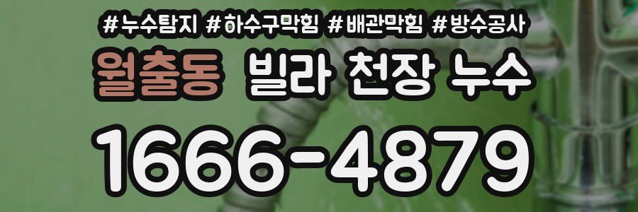 월출동 빌라 천장 누수