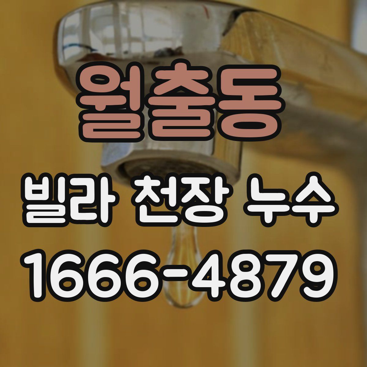 월출동 빌라 천장 누수