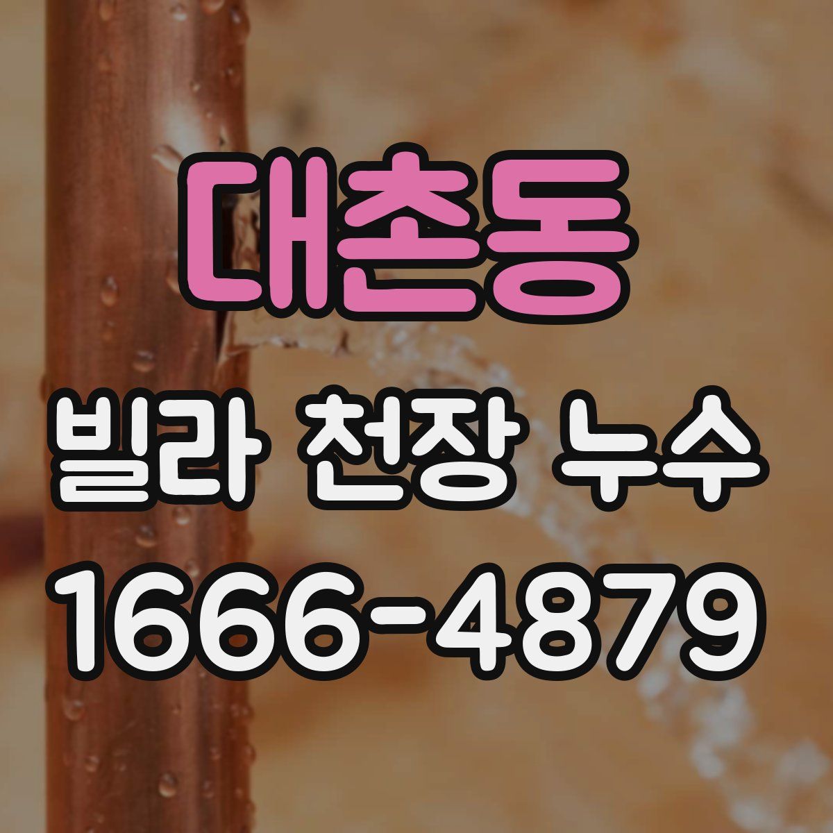 대촌동 빌라 천장 누수