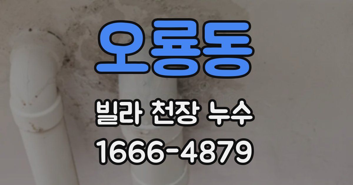 오룡동 빌라 천장 누수