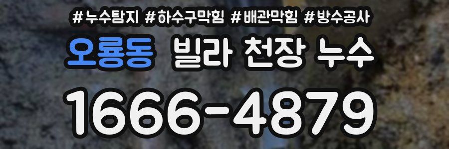 오룡동 빌라 천장 누수