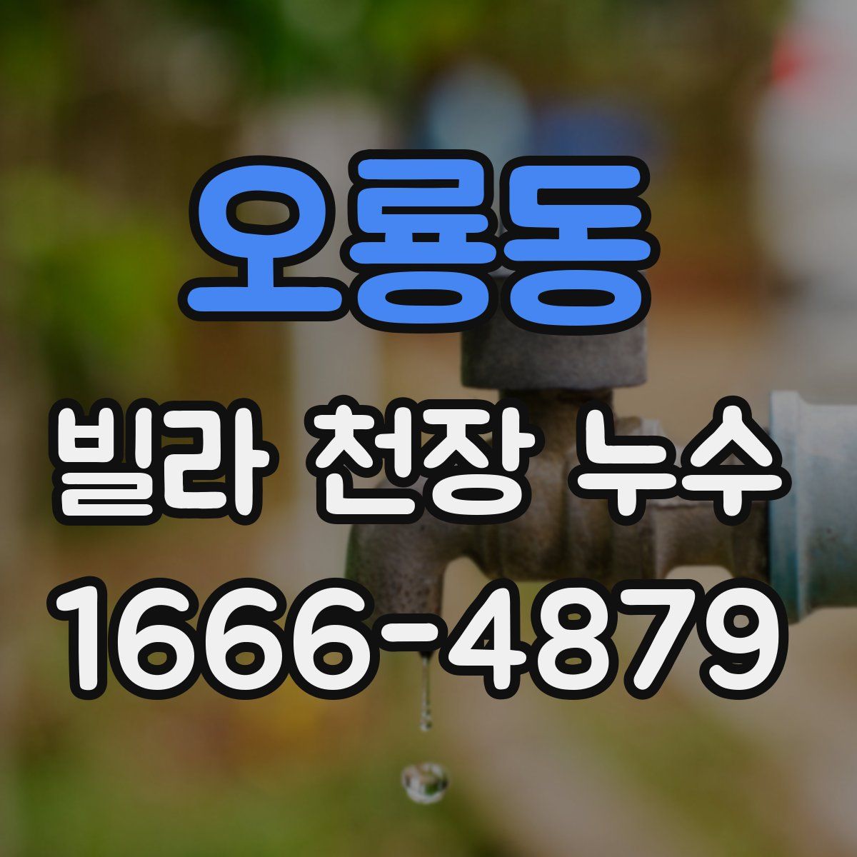 오룡동 빌라 천장 누수