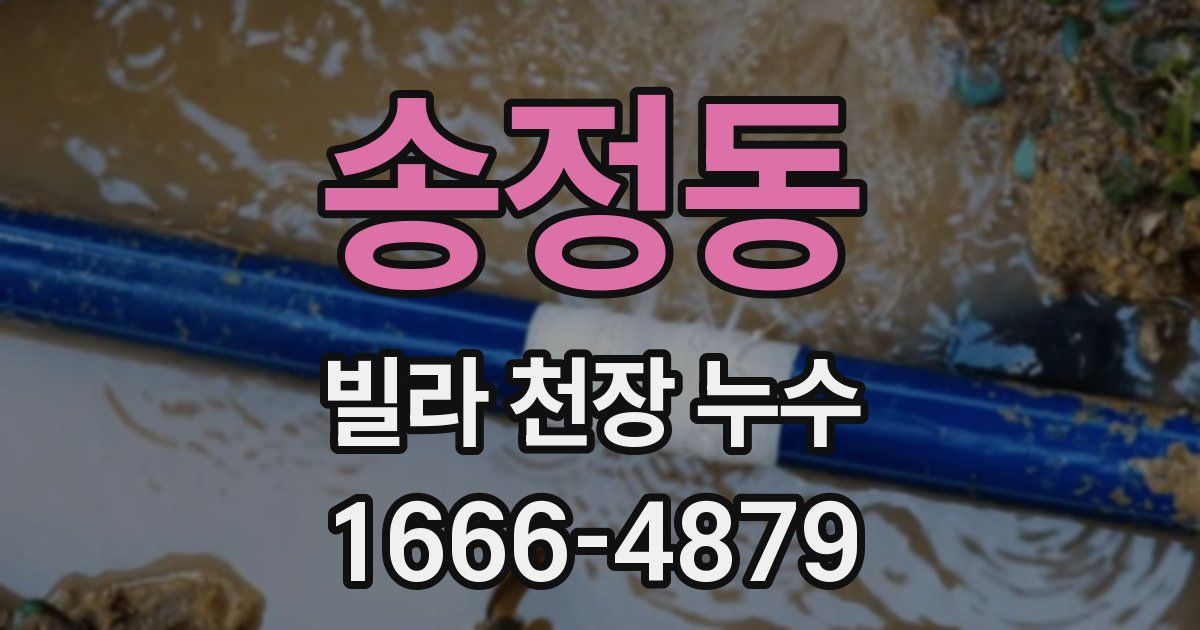 송정동 빌라 천장 누수