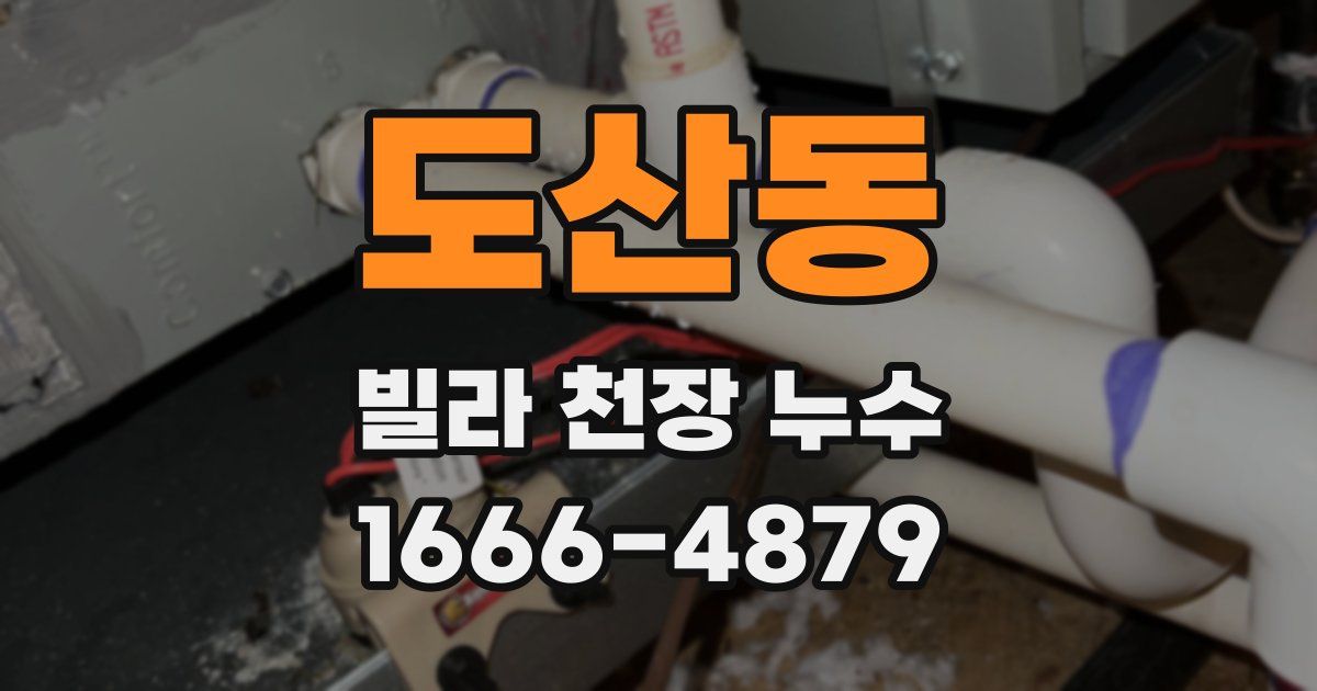 도산동 빌라 천장 누수