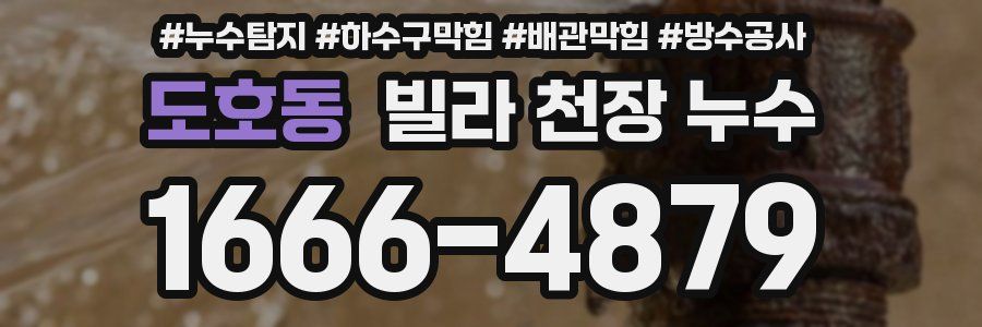 도호동 빌라 천장 누수
