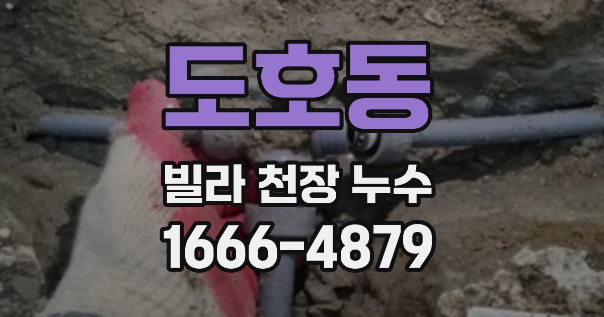 도호동 빌라 천장 누수