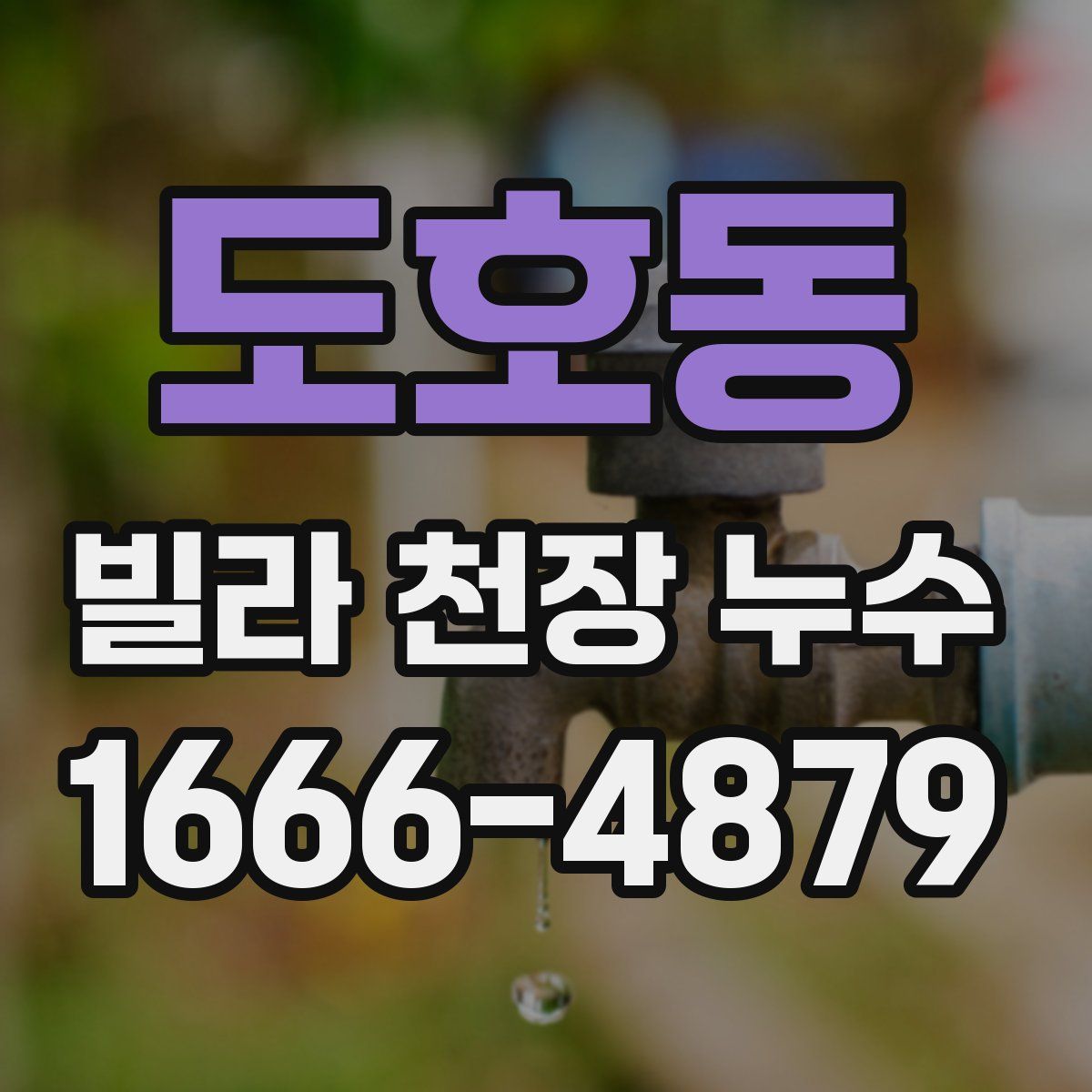 도호동 빌라 천장 누수