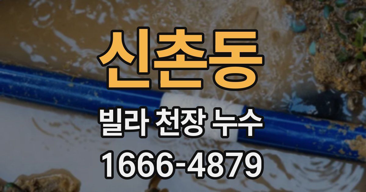 신촌동 빌라 천장 누수
