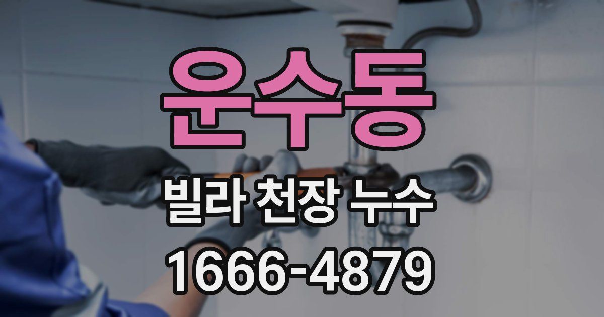 운수동 빌라 천장 누수