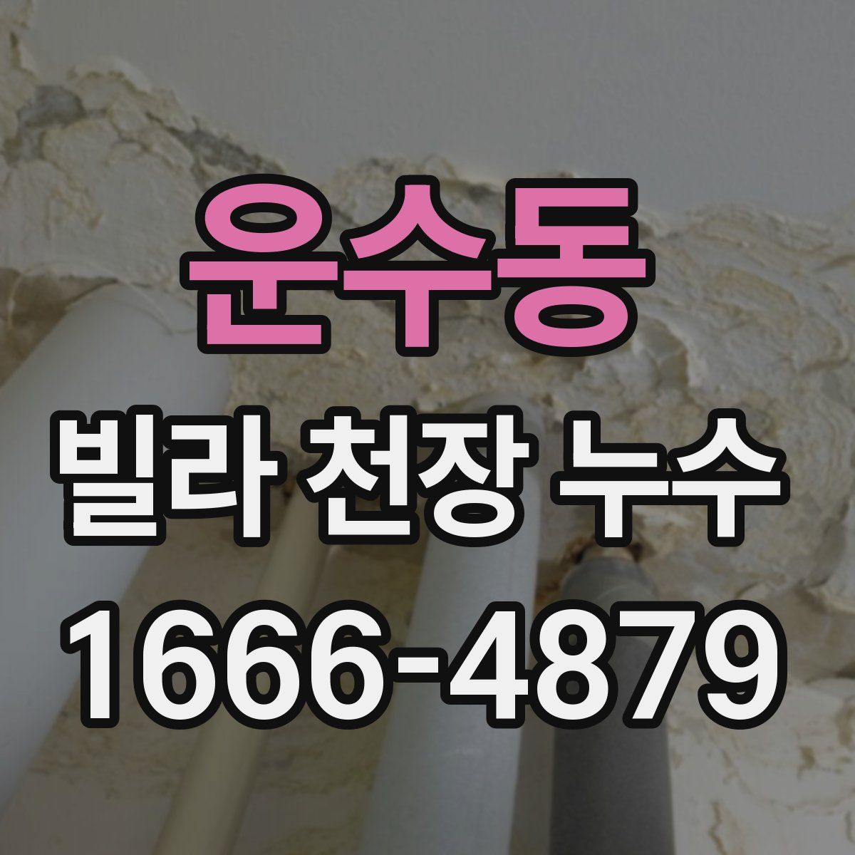 운수동 빌라 천장 누수
