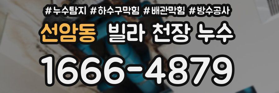 선암동 빌라 천장 누수
