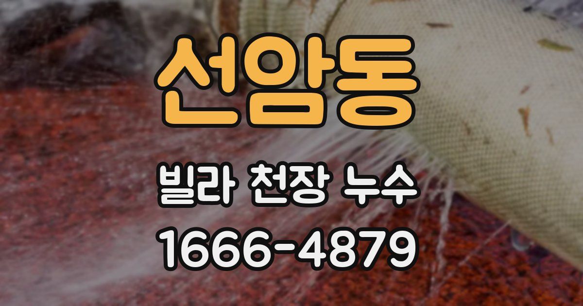 선암동 빌라 천장 누수