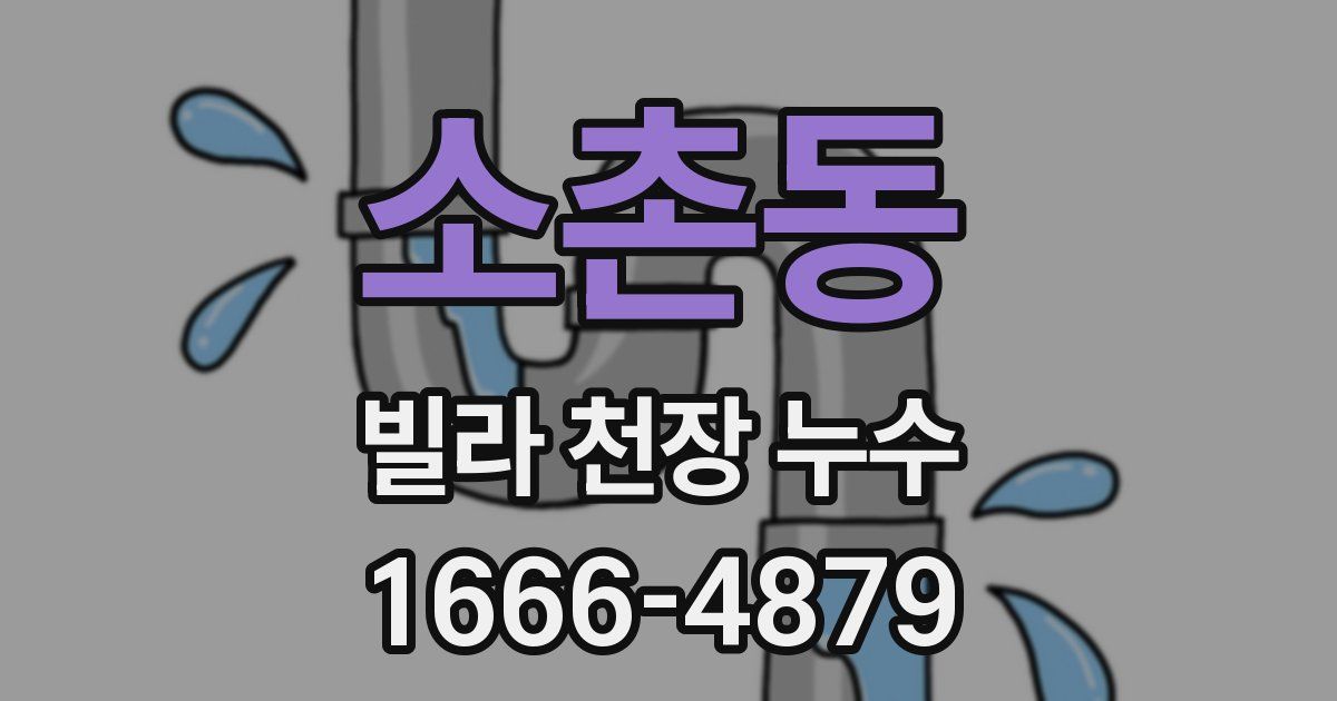 소촌동 빌라 천장 누수