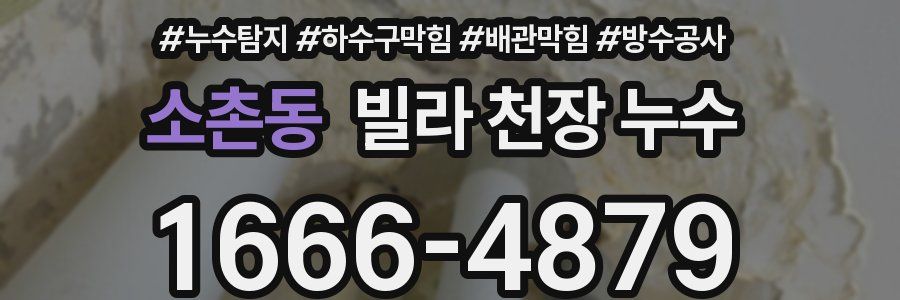 소촌동 빌라 천장 누수