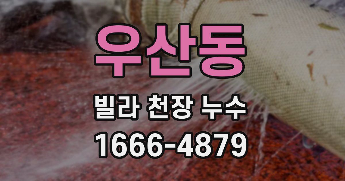 우산동 빌라 천장 누수