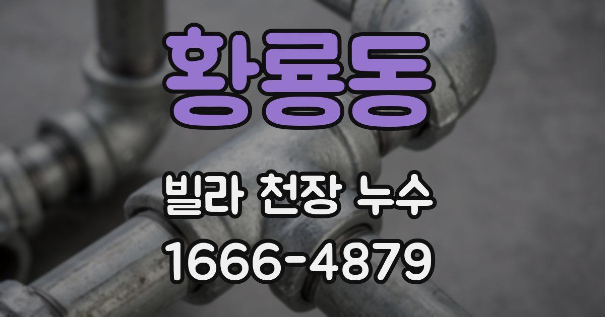 황룡동 빌라 천장 누수