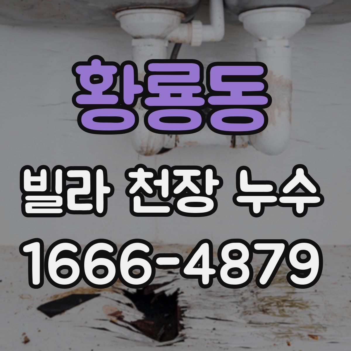 황룡동 빌라 천장 누수