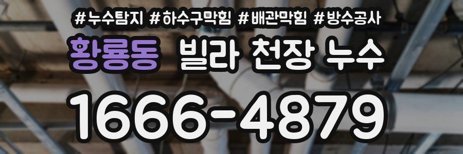 황룡동 빌라 천장 누수