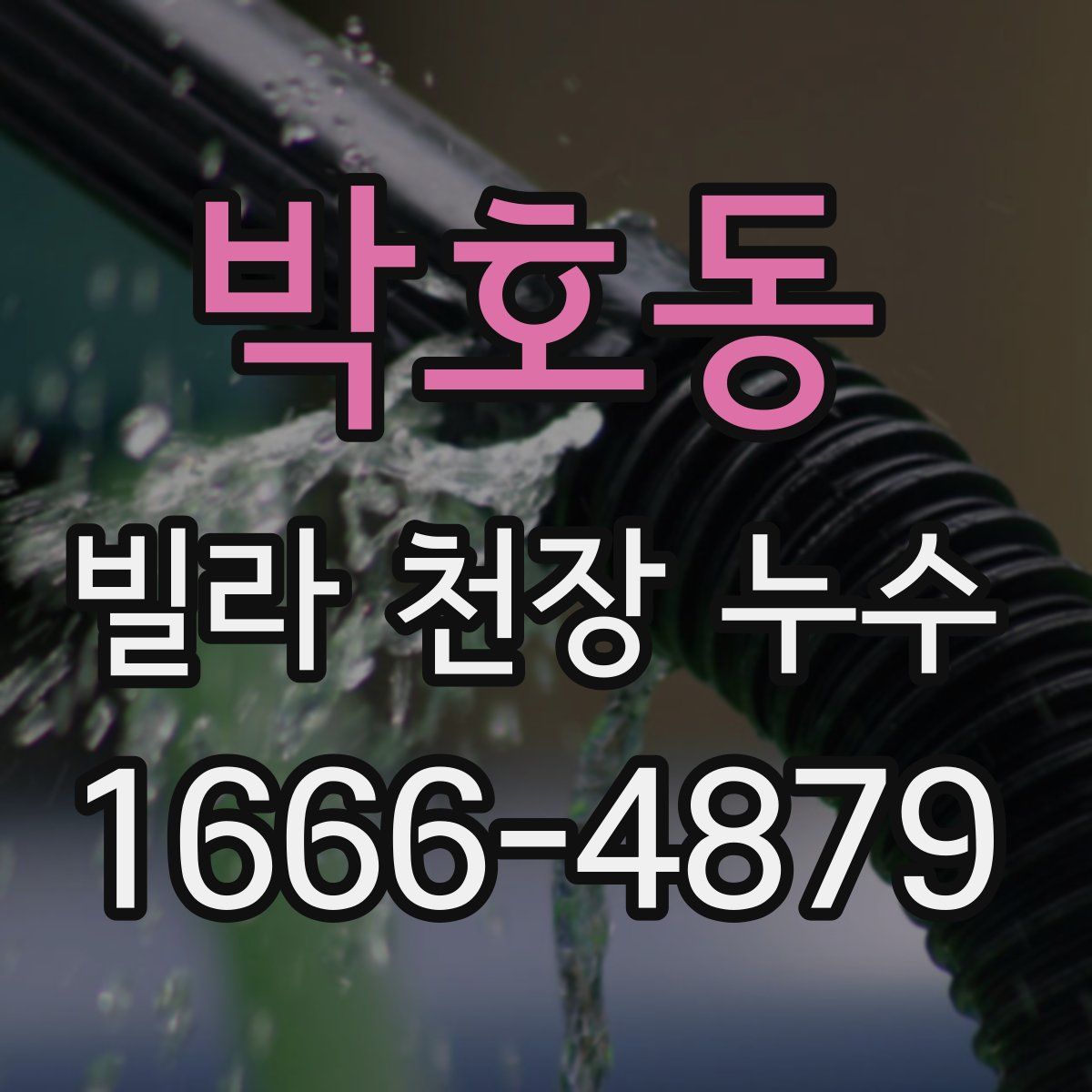 박호동 빌라 천장 누수