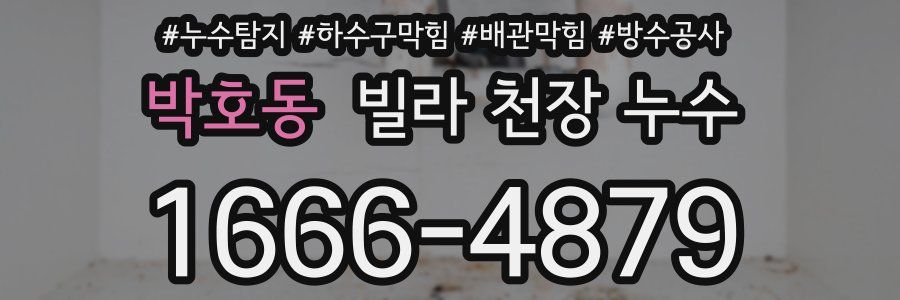 박호동 빌라 천장 누수