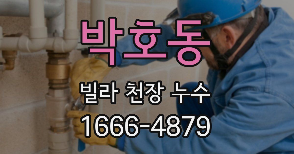 박호동 빌라 천장 누수