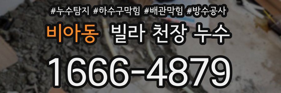 비아동 빌라 천장 누수