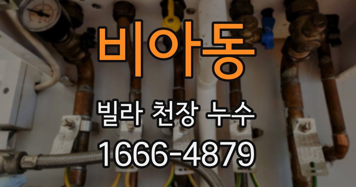 비아동 빌라 천장 누수