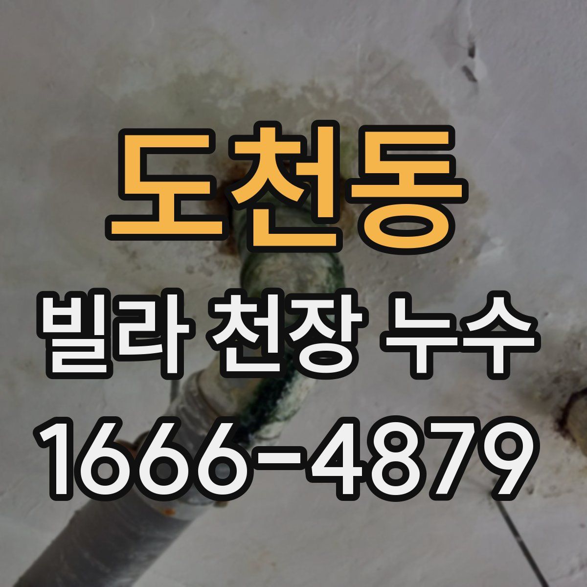 도천동 빌라 천장 누수