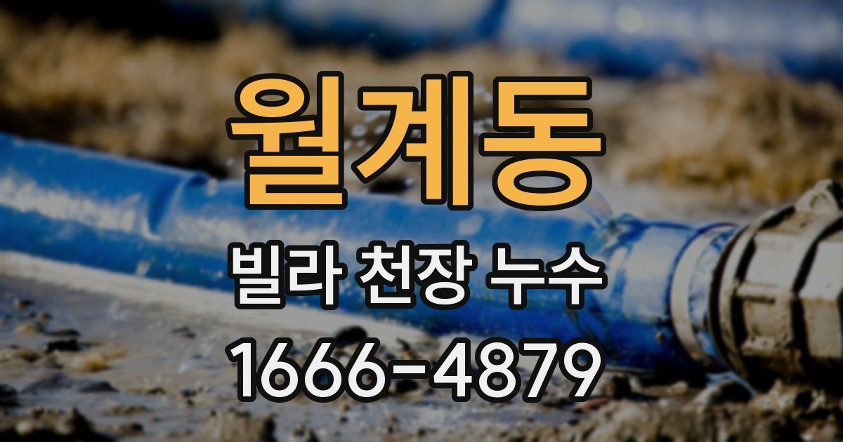 월계동 빌라 천장 누수