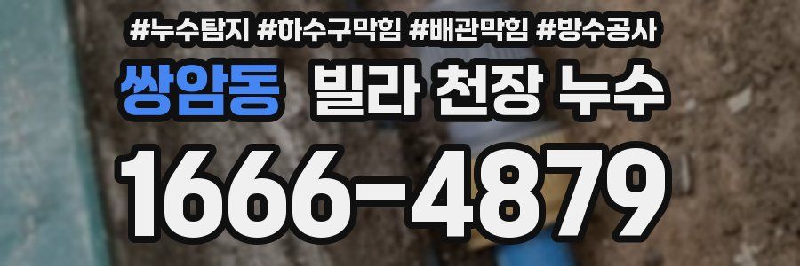쌍암동 빌라 천장 누수