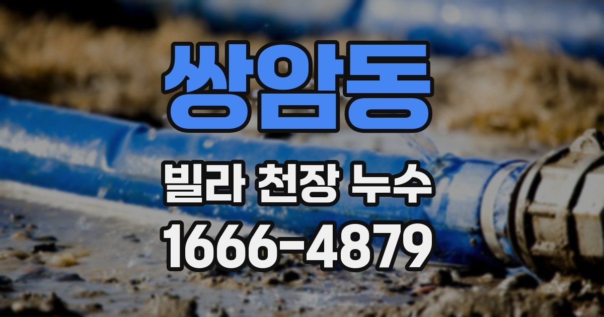 쌍암동 빌라 천장 누수