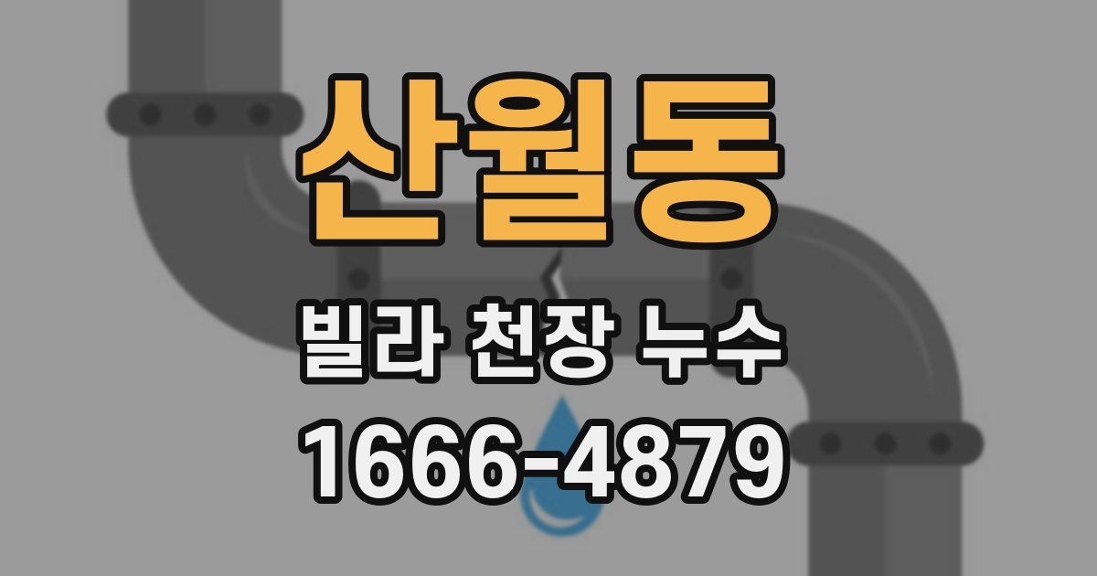 산월동 빌라 천장 누수