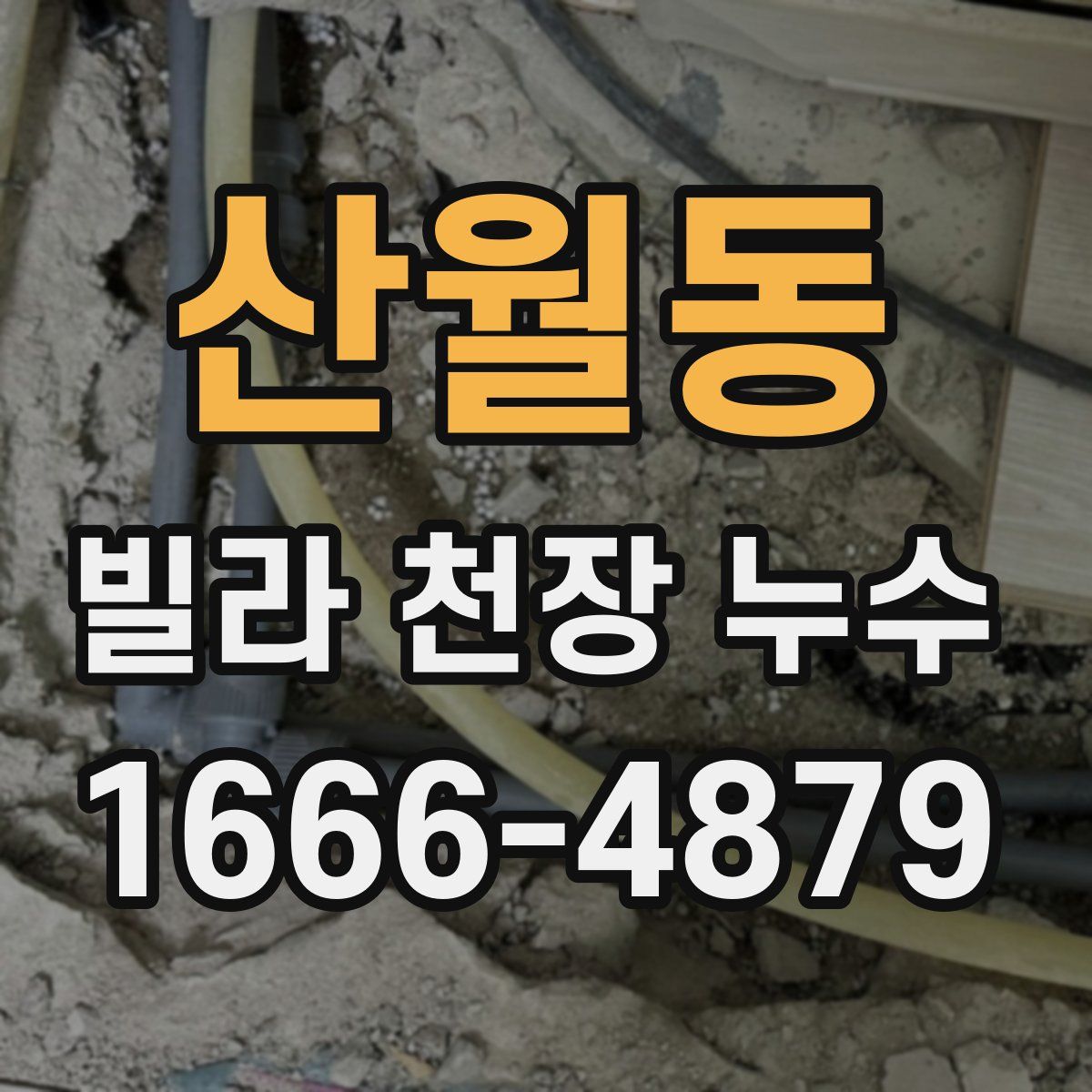 산월동 빌라 천장 누수