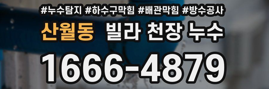 산월동 빌라 천장 누수