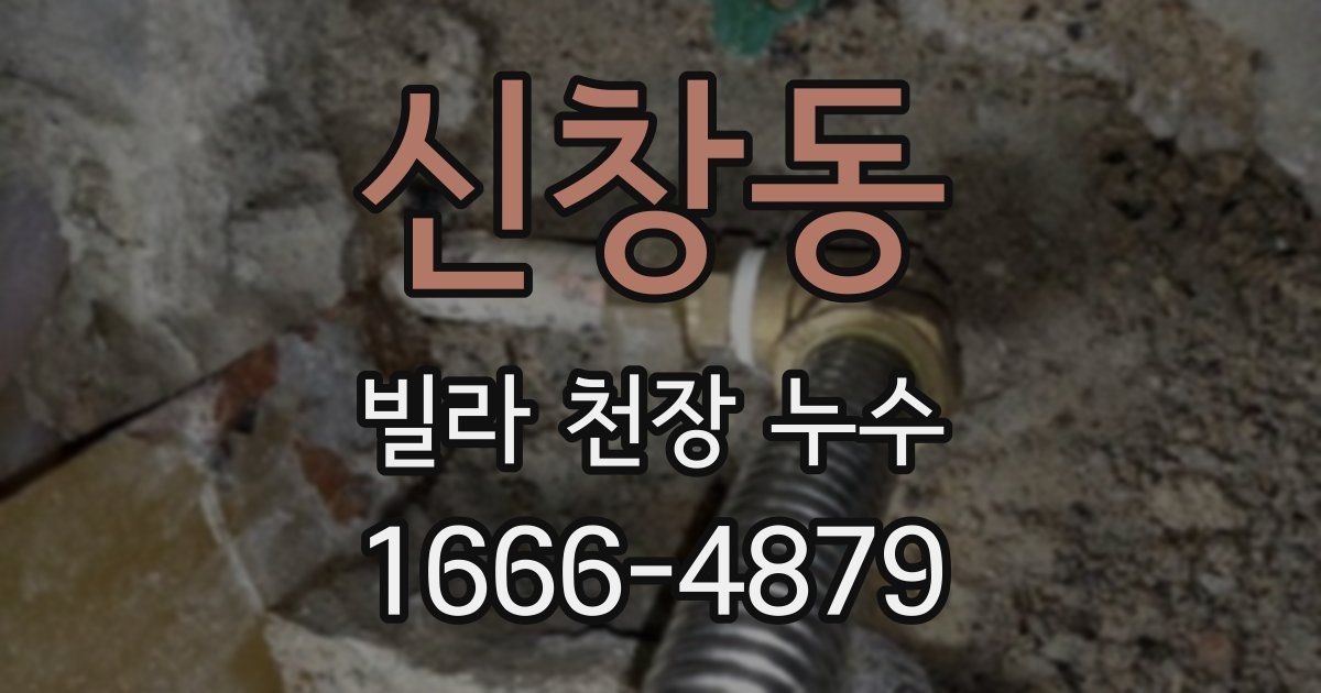 신창동 빌라 천장 누수