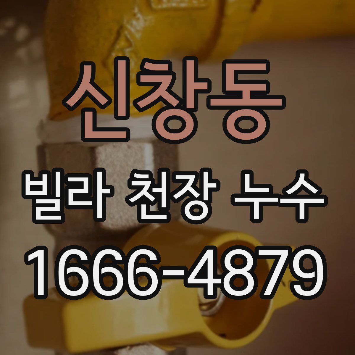 신창동 빌라 천장 누수
