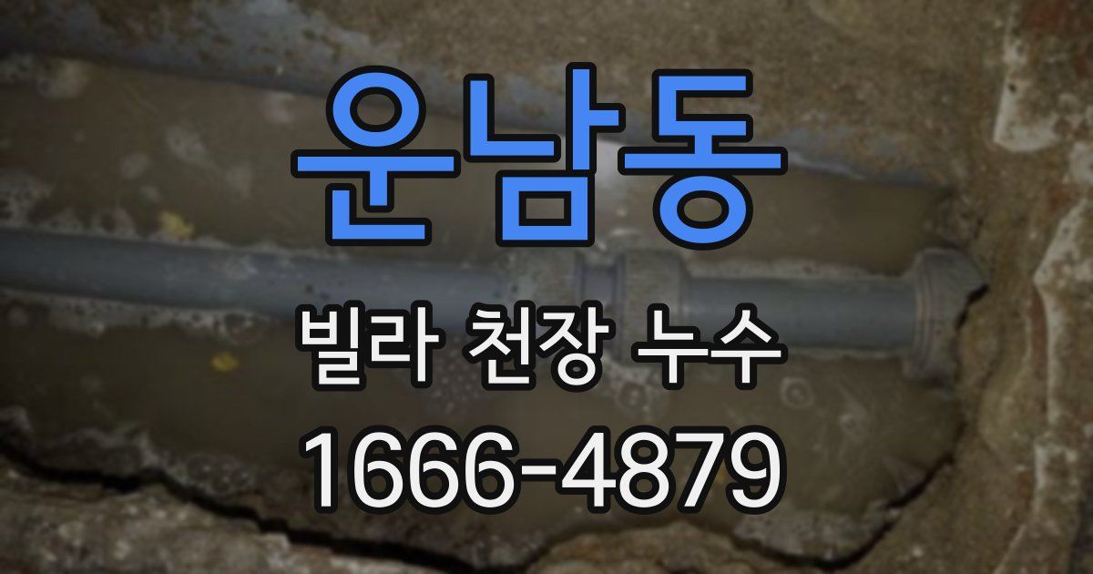 운남동 빌라 천장 누수