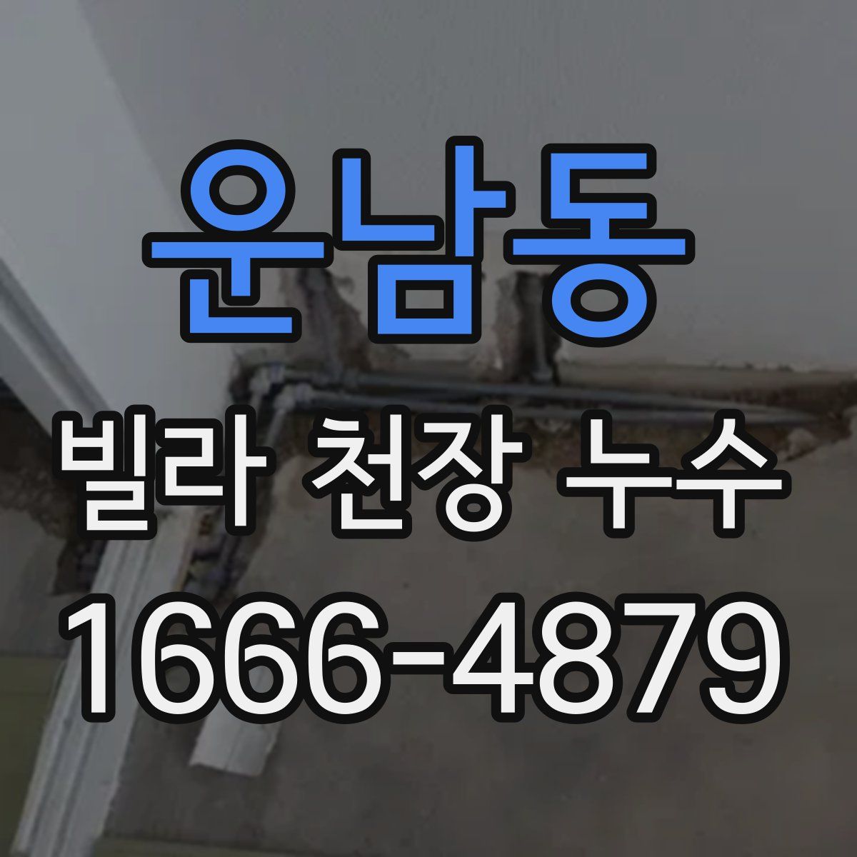운남동 빌라 천장 누수