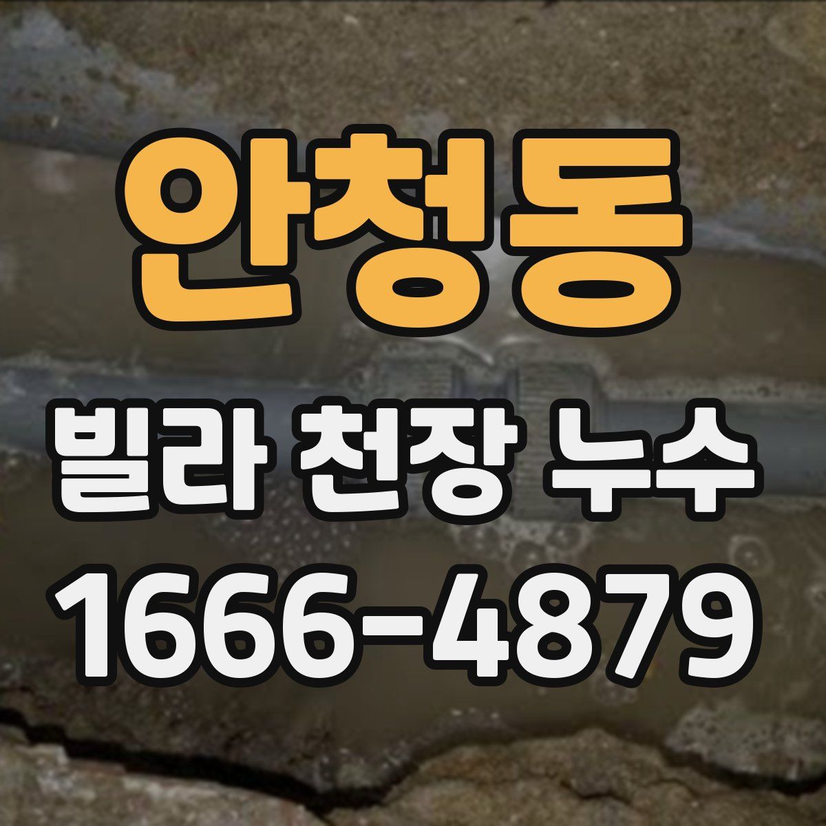 안청동 빌라 천장 누수