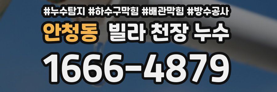 안청동 빌라 천장 누수