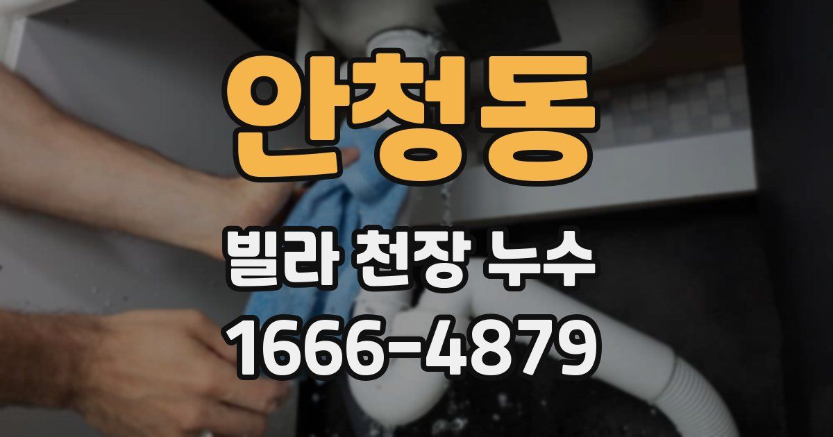안청동 빌라 천장 누수