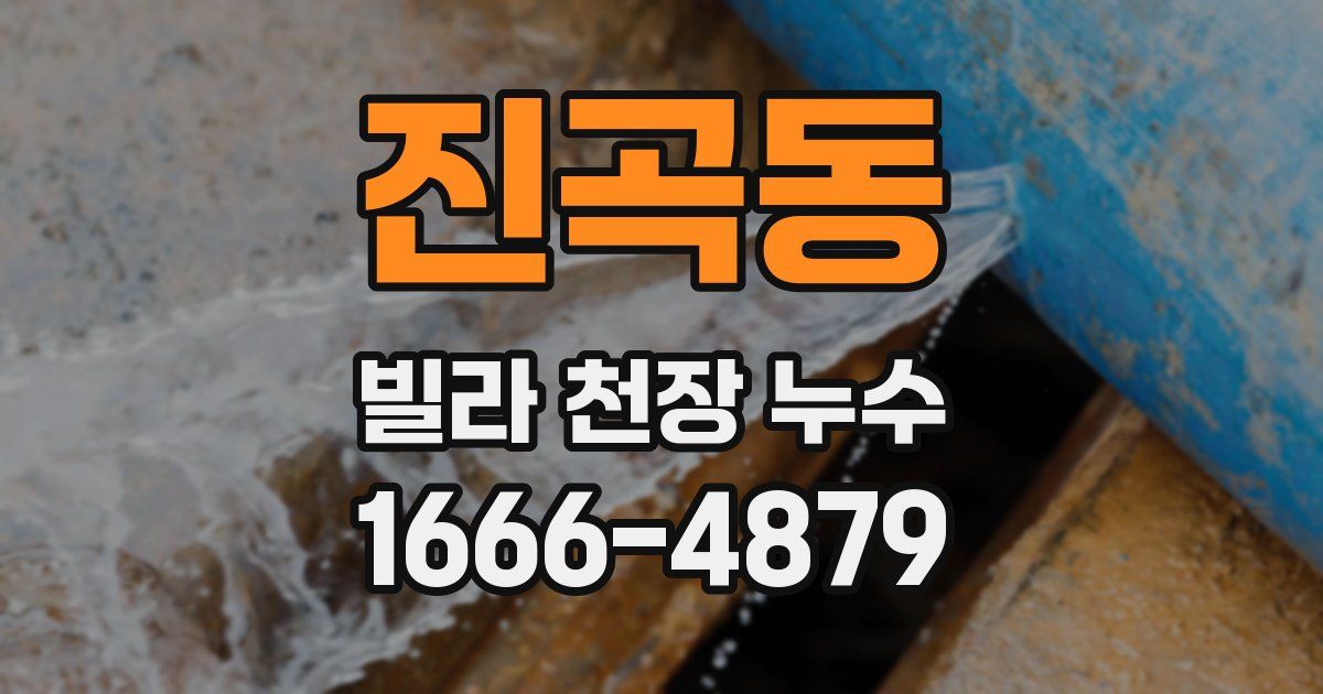 진곡동 빌라 천장 누수