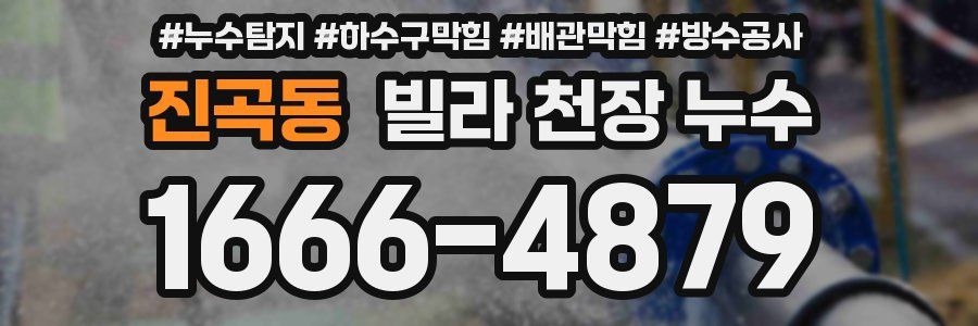 진곡동 빌라 천장 누수