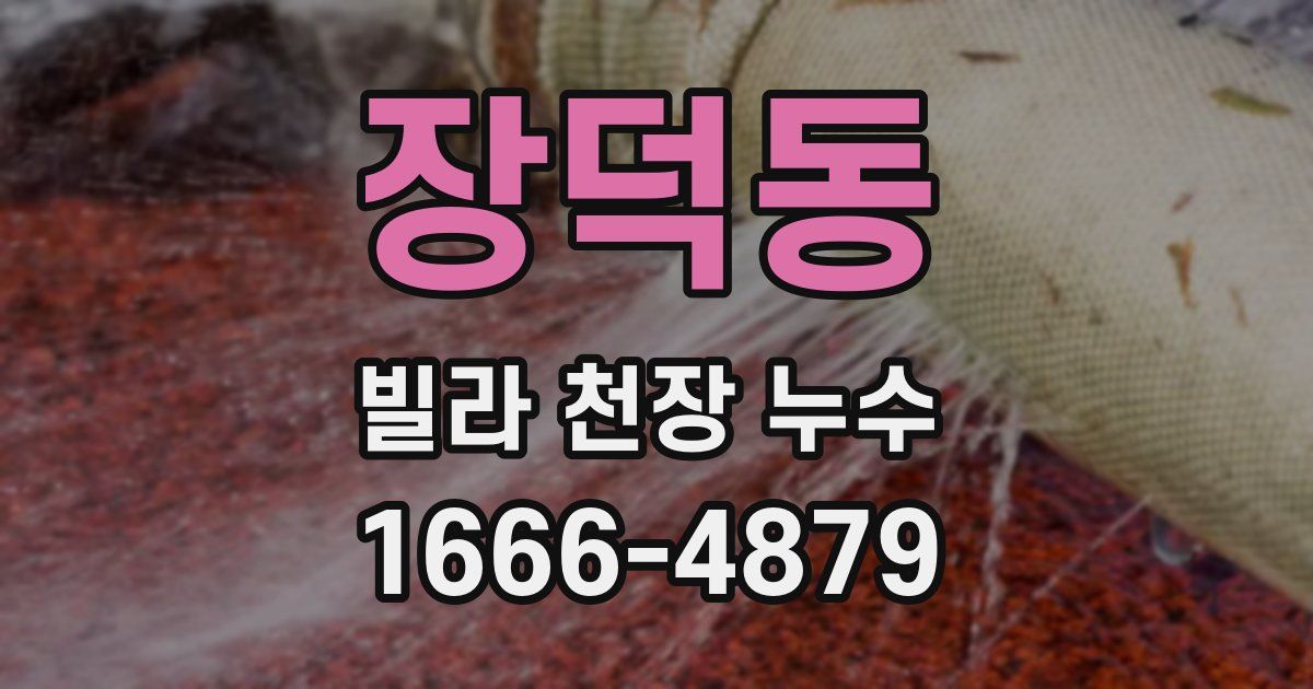 장덕동 빌라 천장 누수